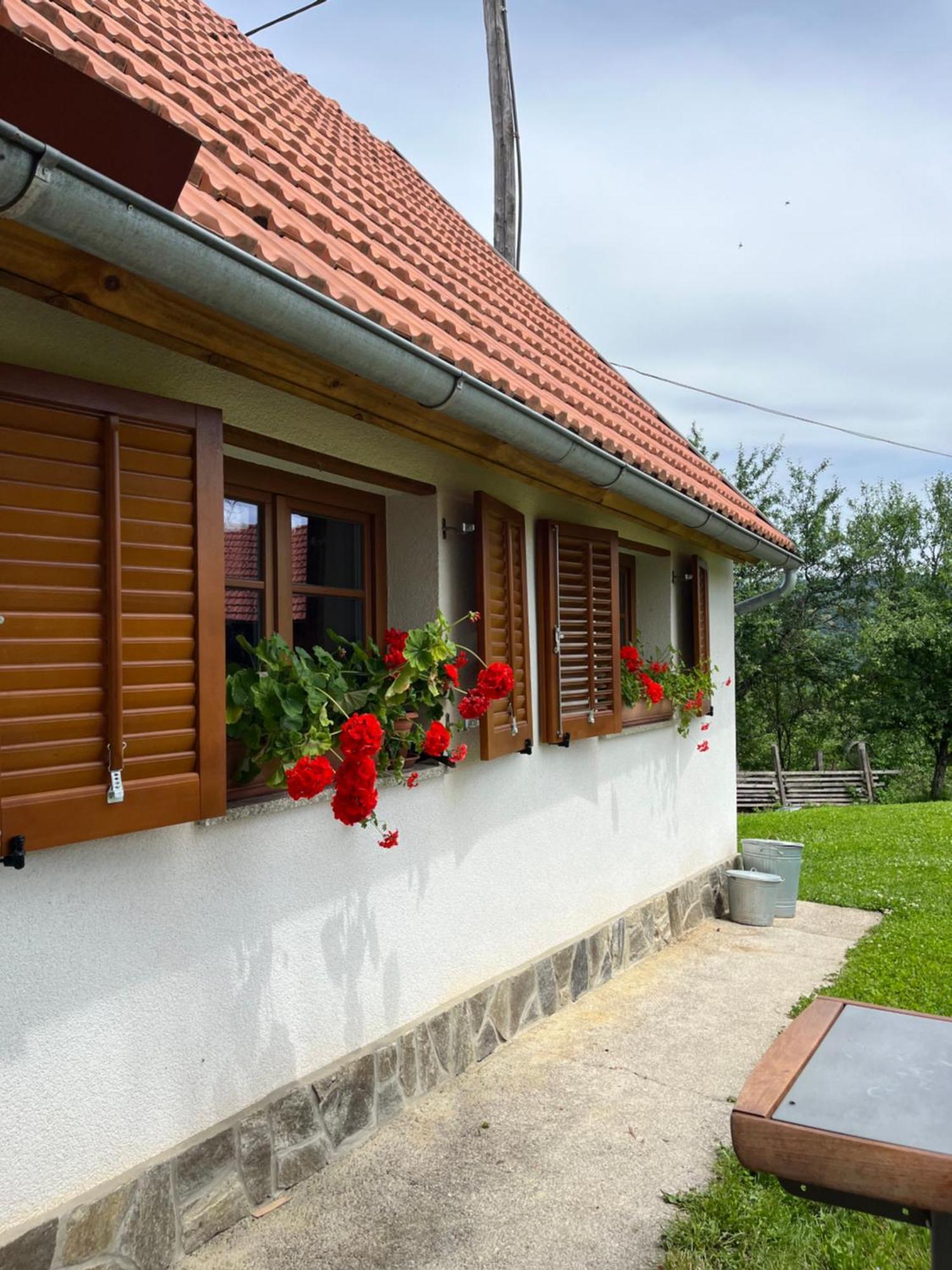 Domacija Brdar Villa Adlesici Ngoại thất bức ảnh