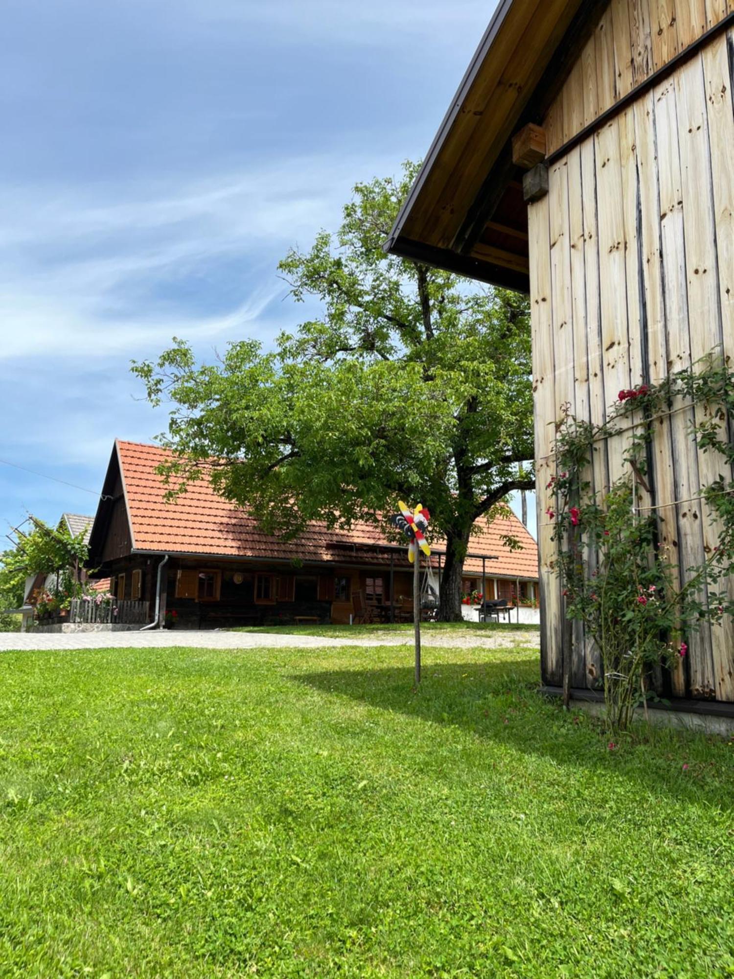 Domacija Brdar Villa Adlesici Ngoại thất bức ảnh