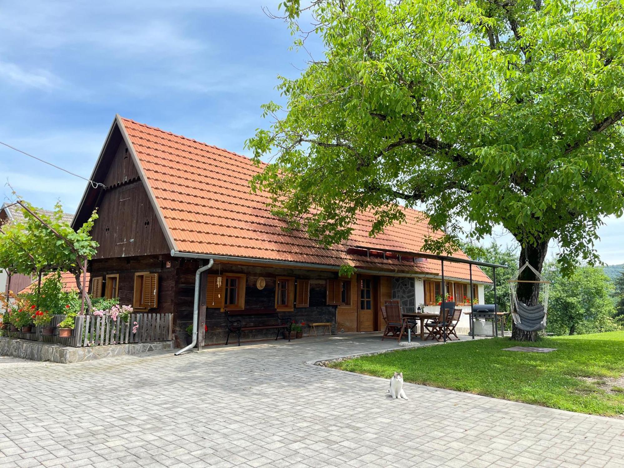 Domacija Brdar Villa Adlesici Ngoại thất bức ảnh